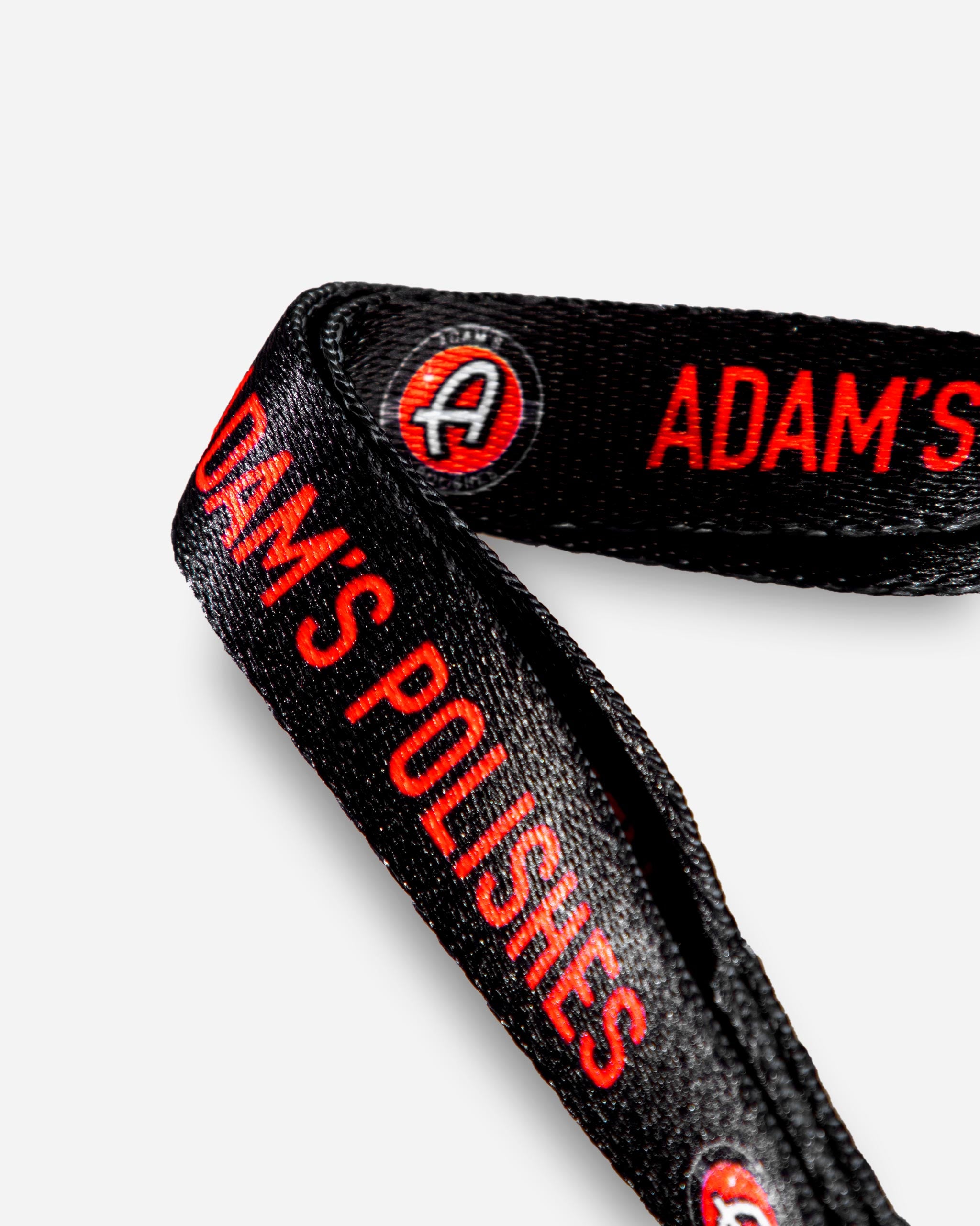 Adam's Dog Collar