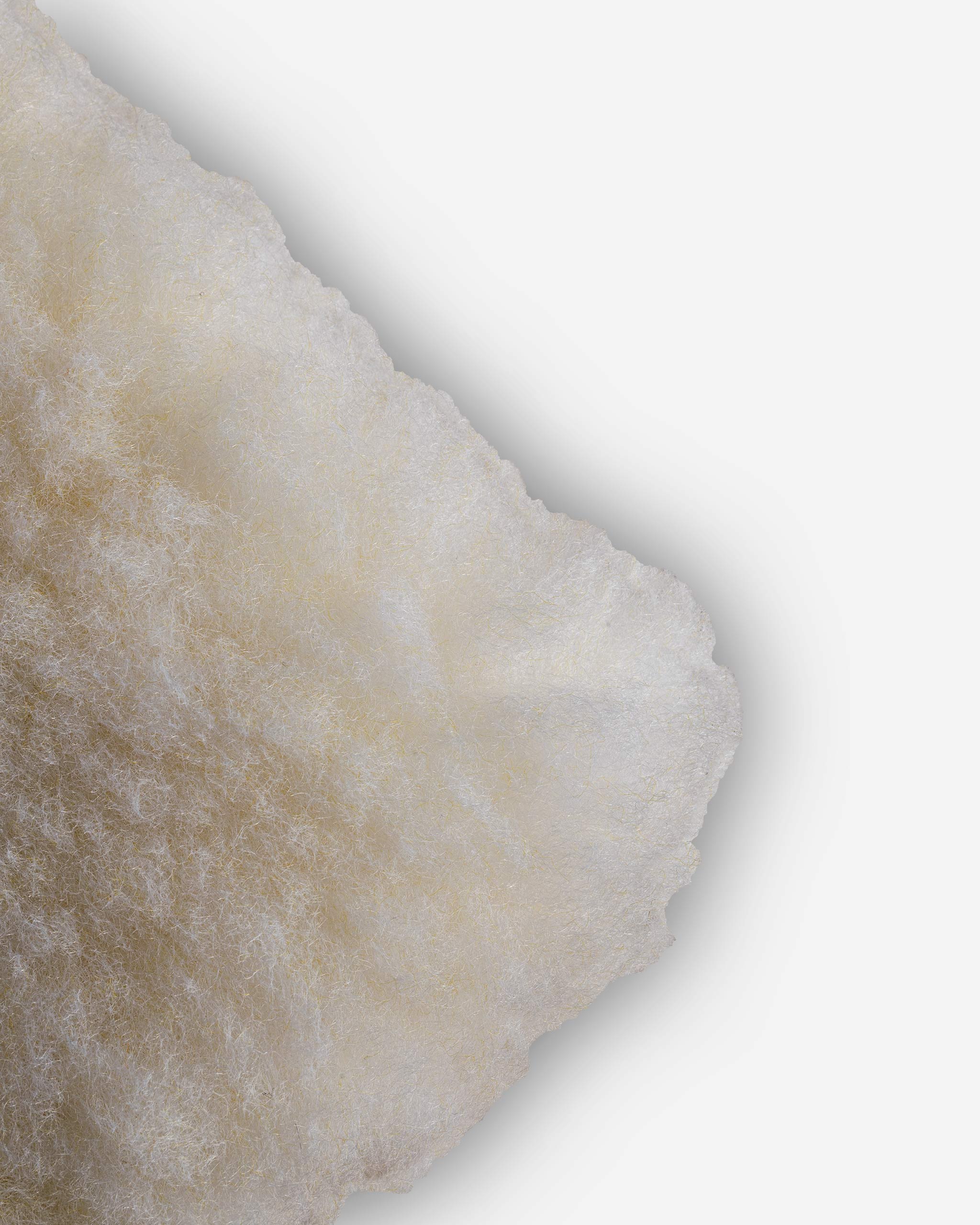 Close-up image of Adam's 10-inch Car Wash Pad, showcasing its textured synthetic wool fibers on a white background.