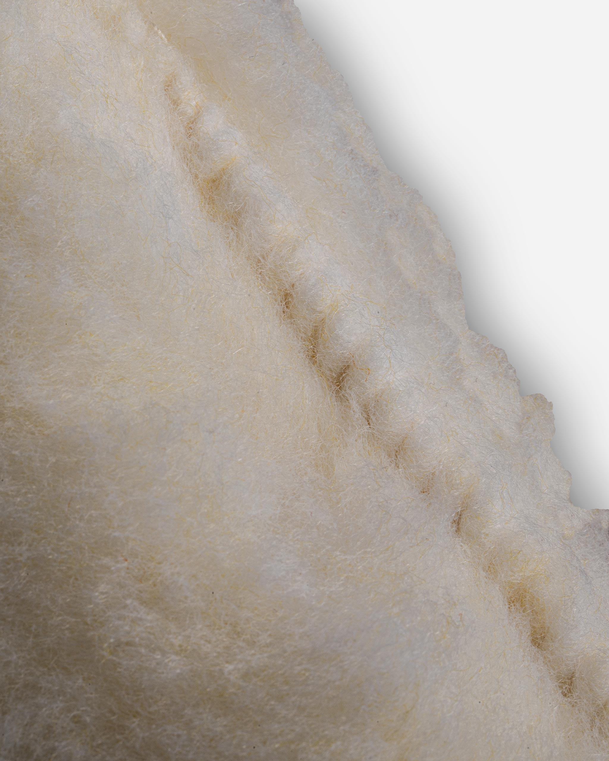 Close-up image of Adam's 10" Car Wash Pad, showing its textured wool surface and intricate fibers, ideal for auto detailing.