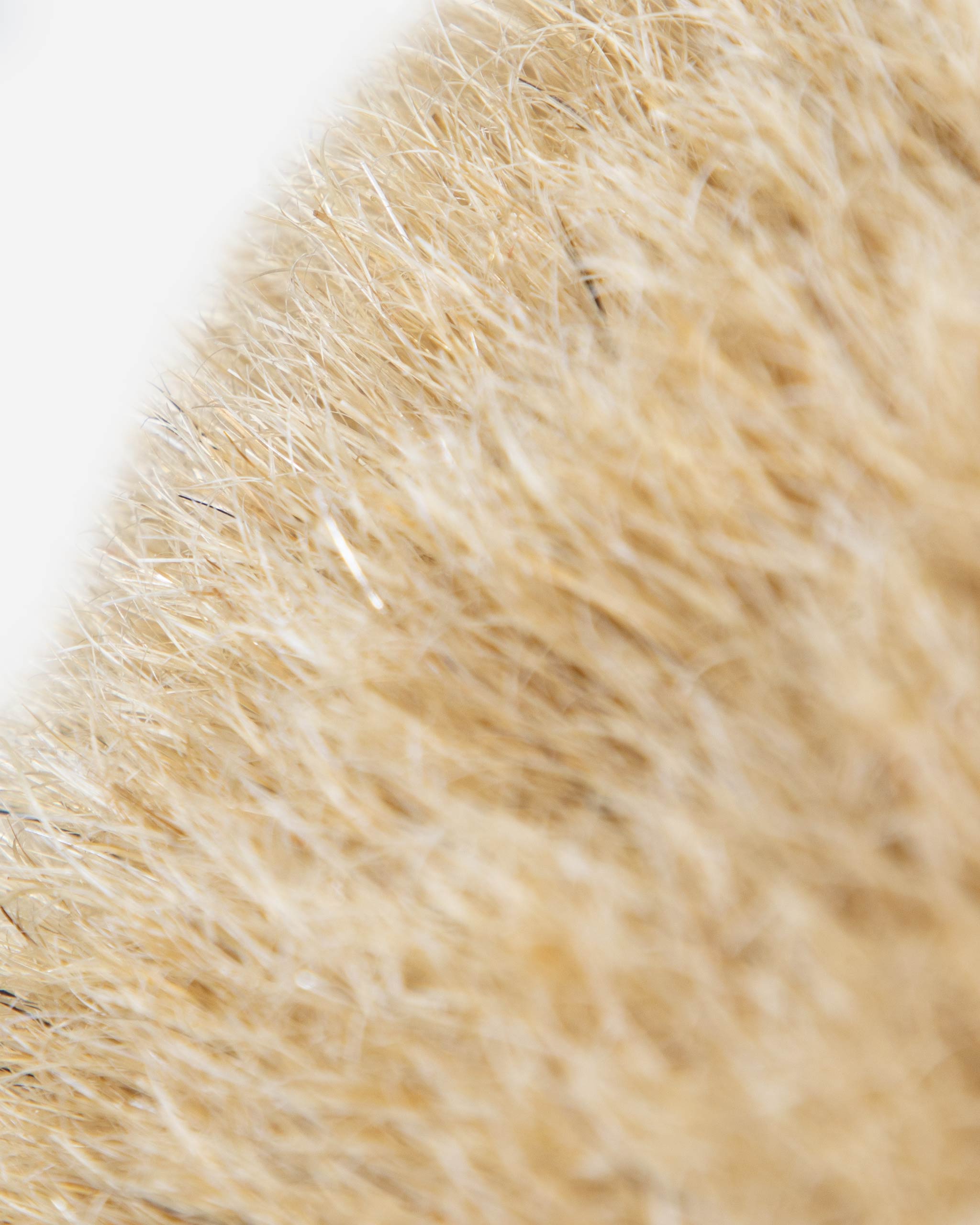 Adam's Boars Hair Truck Brush