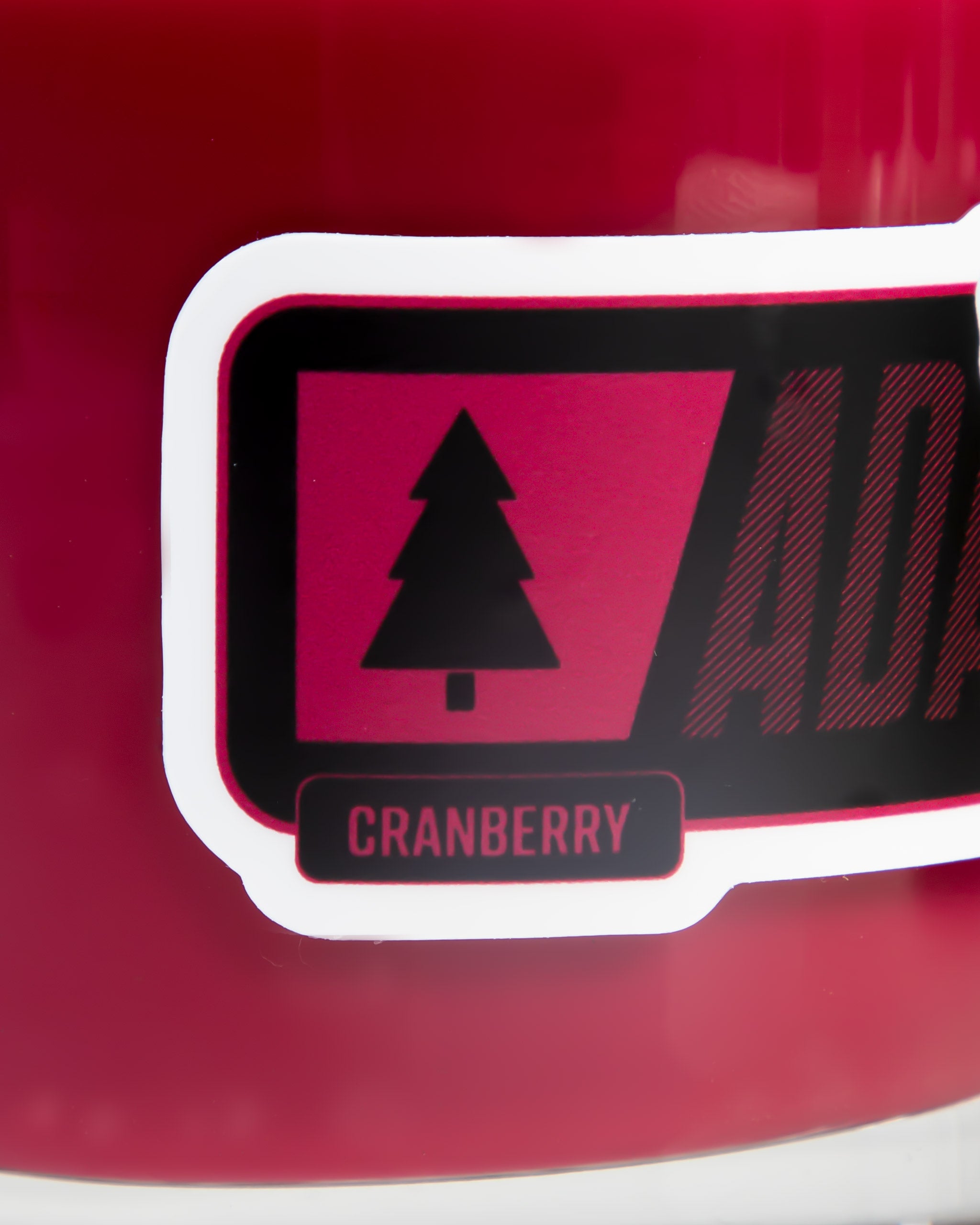 Adam's Cranberry Holiday Candle 8oz