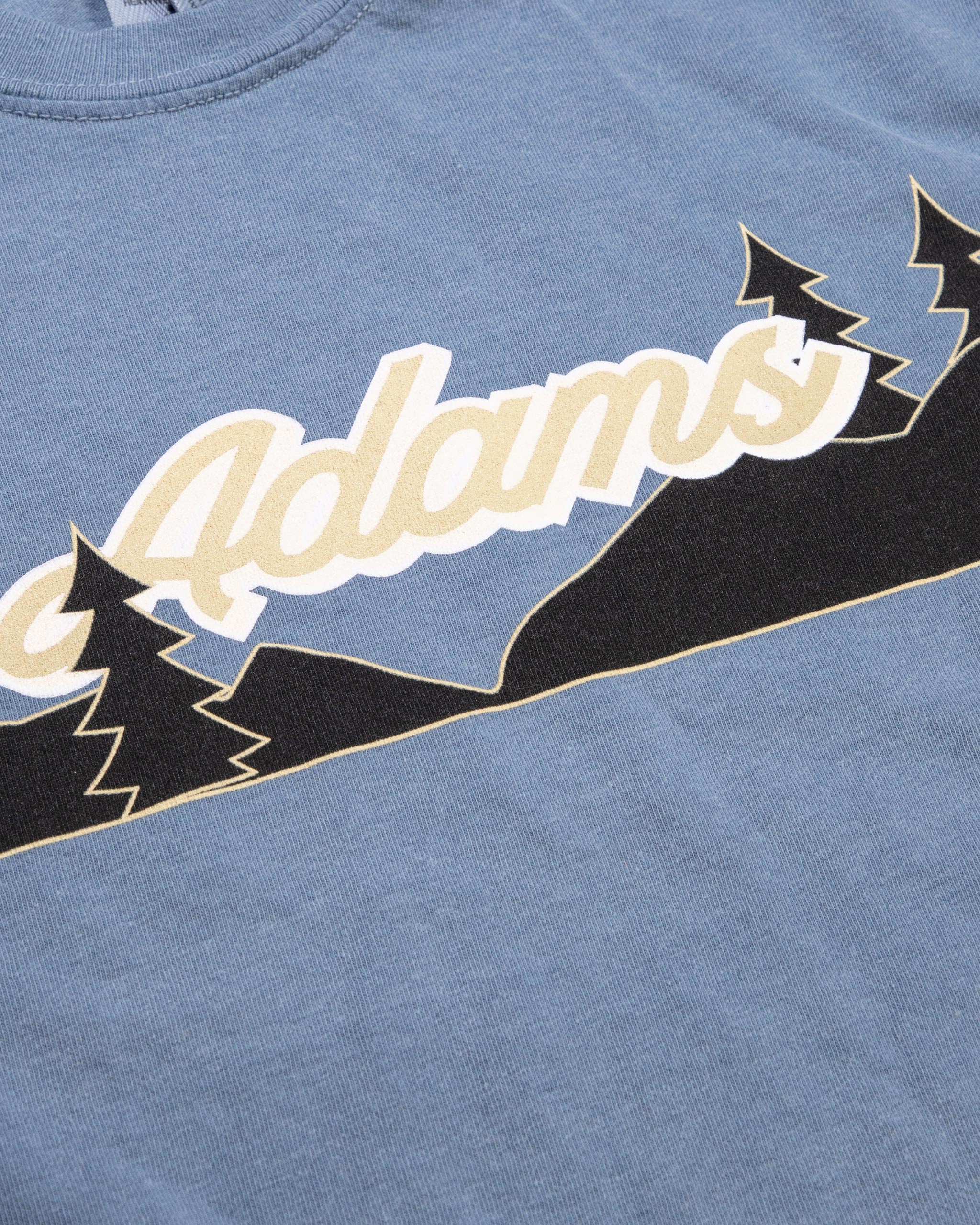 Adam's Blue Holiday Long Sleeve T-Shirt