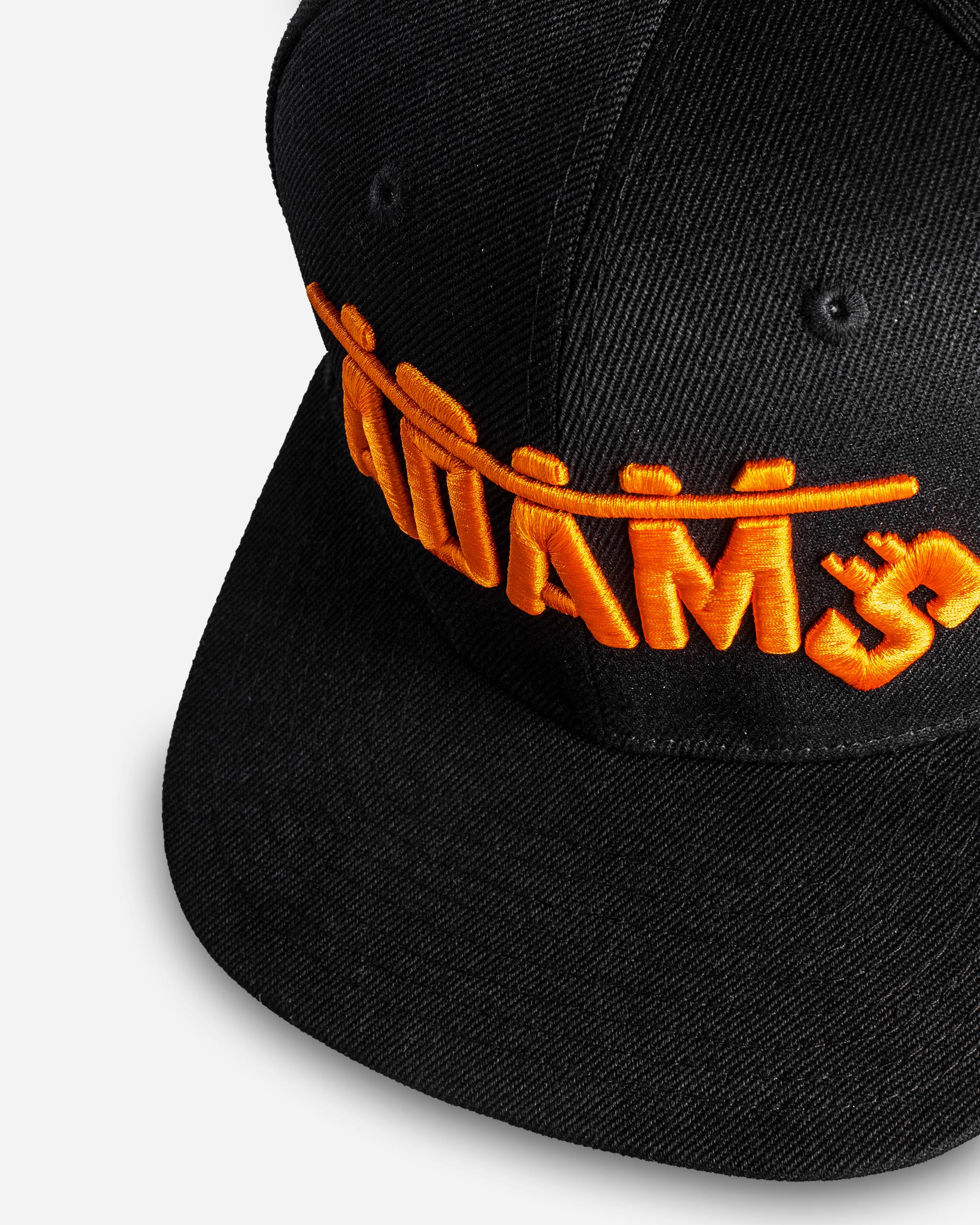 Adam's Fall Snapback Hat