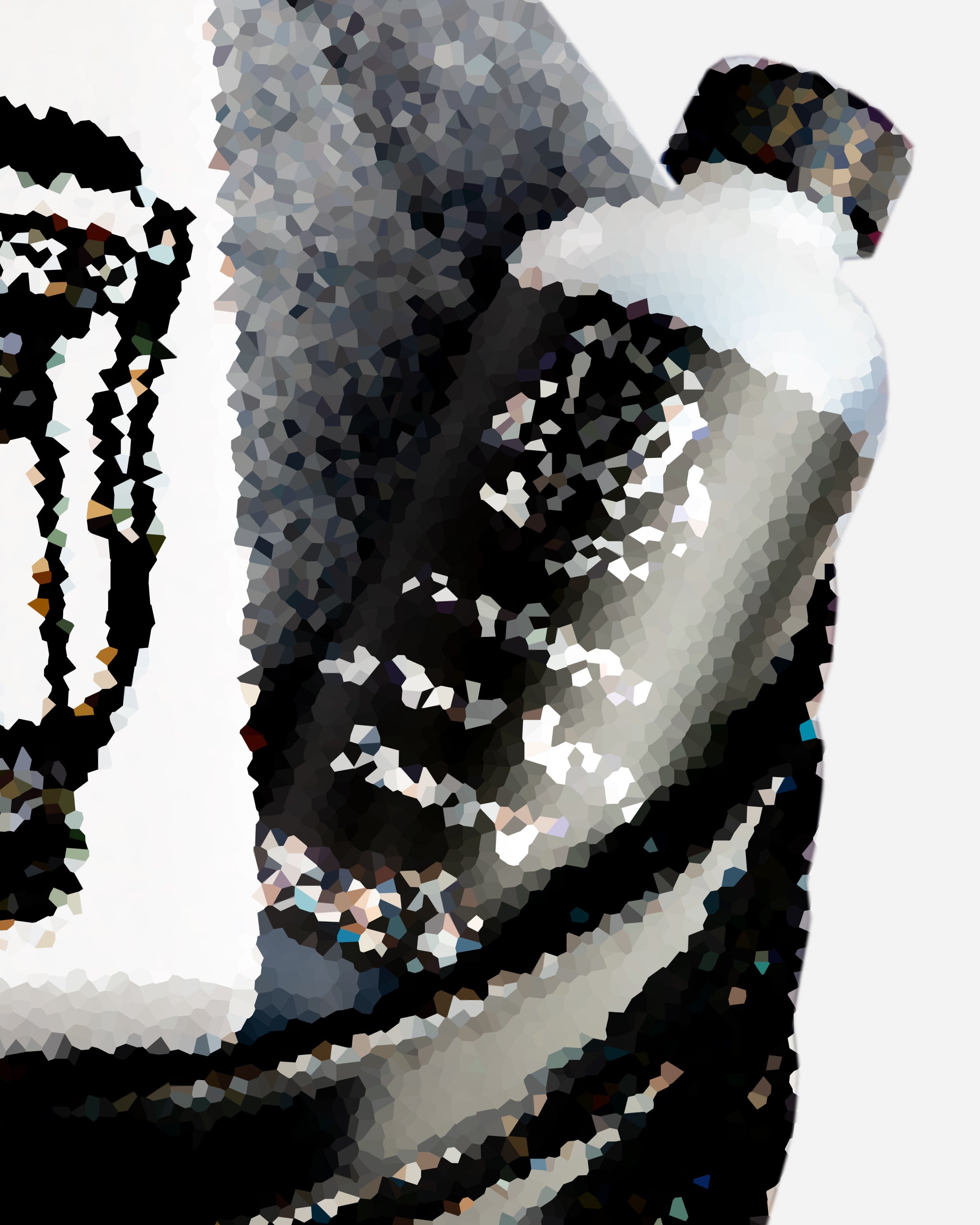 Alt text: Close-up of a mystery car care product bottle with a black and white label, featuring a blurred abstract design, as part of Adam's $69.99 Mystery Bucket.
