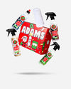 Adam's Holiday Car Care Kit 2023
