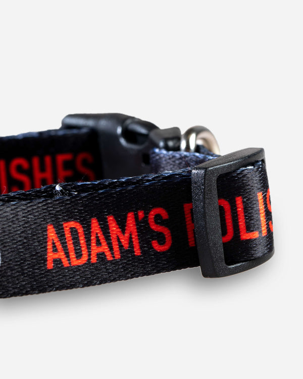 Adam's Dog Collar