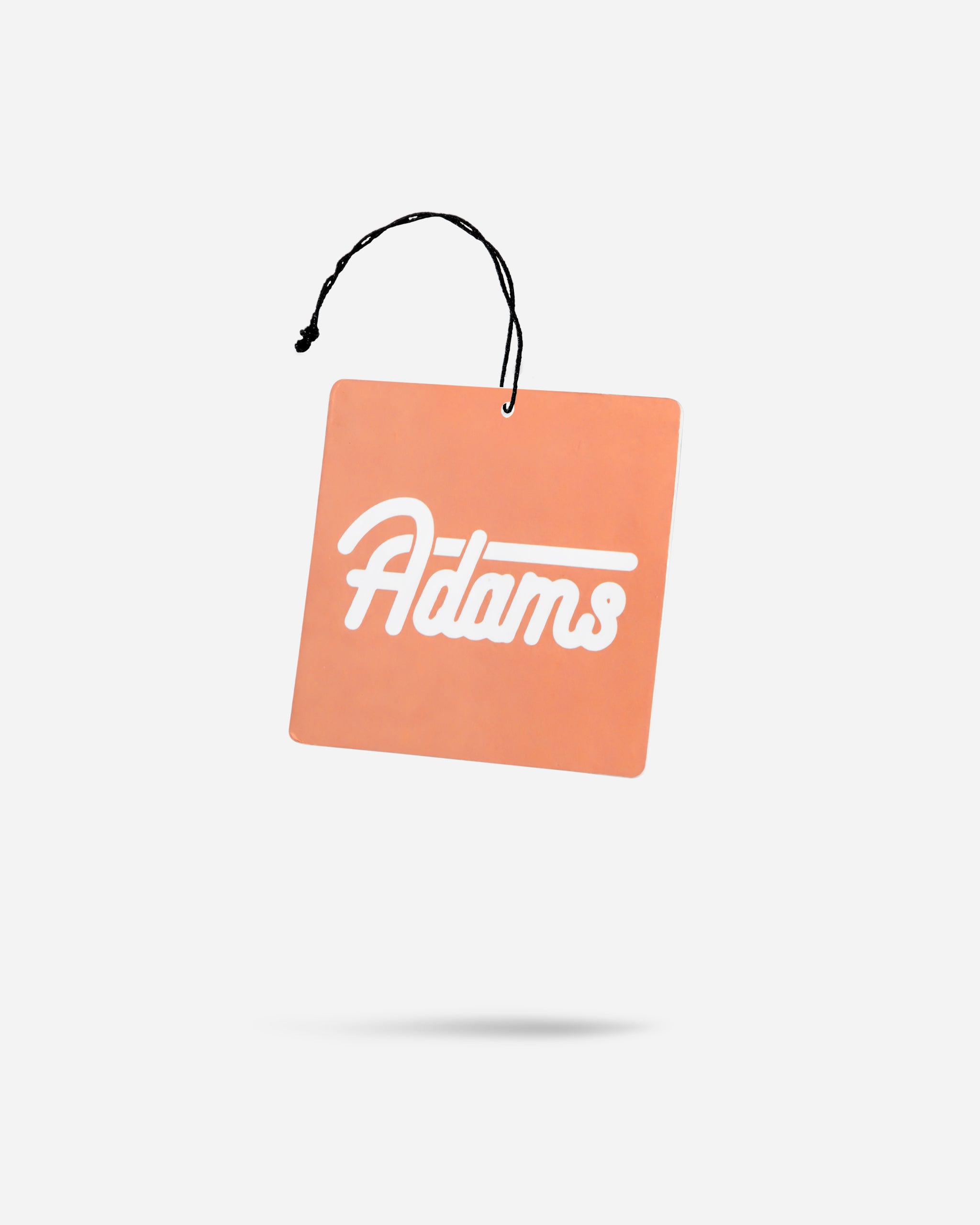Adam's Fresh Rain Air Freshener (Deluxe)