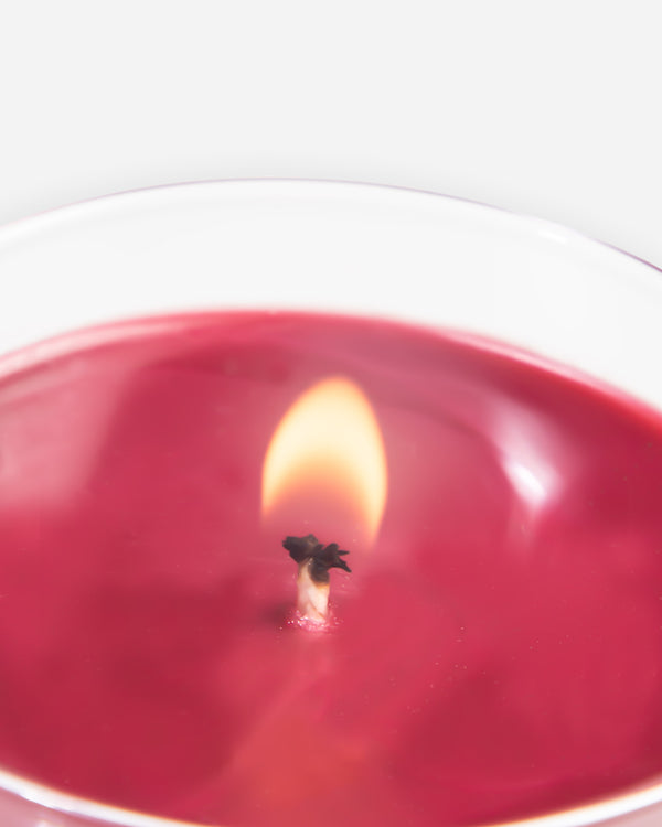 Adam's Cranberry Holiday Candle 8oz
