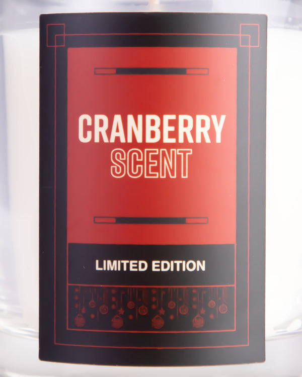 Adam's Holiday Spiced Cranberry Candle