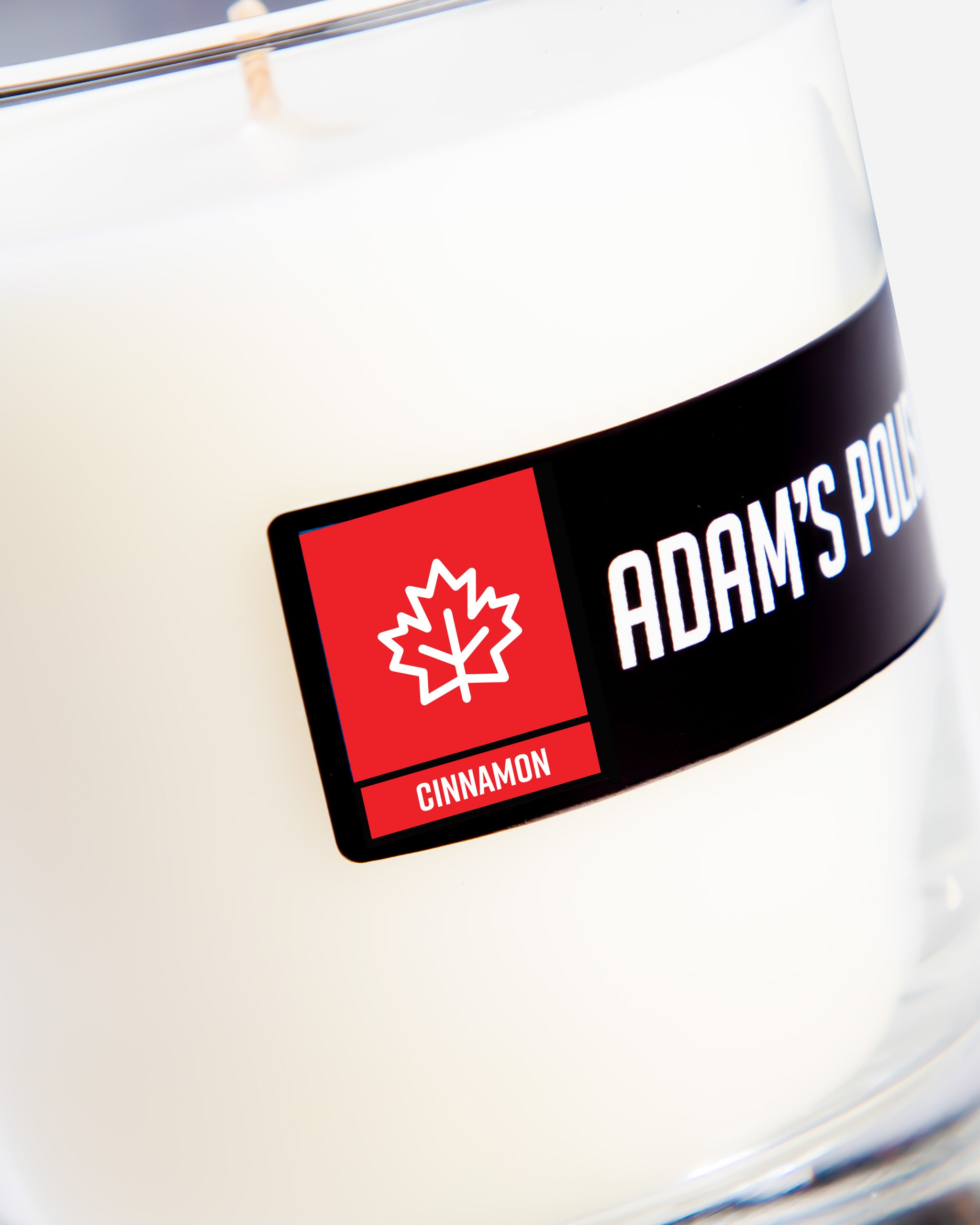 Adam's Fall Collection Candle (Cinnamon)