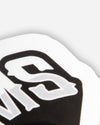 Adam's Cinco De Mayo Skull Sticker