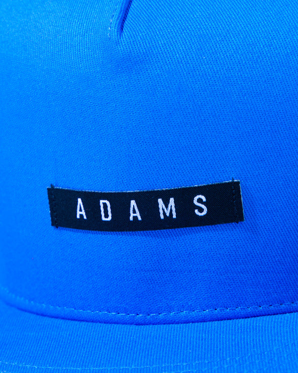 Adam's Blue Flat Bill Hat